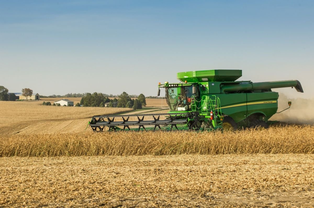 Soybeans-Ithaca-10.19.15_0318