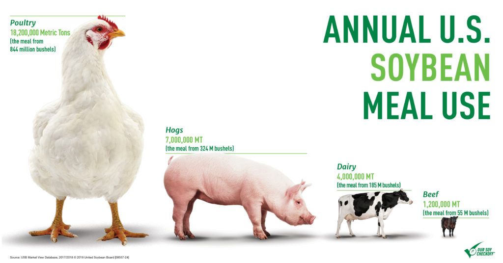 58557-24-US-Soy-Meal-Infographics-1024x536