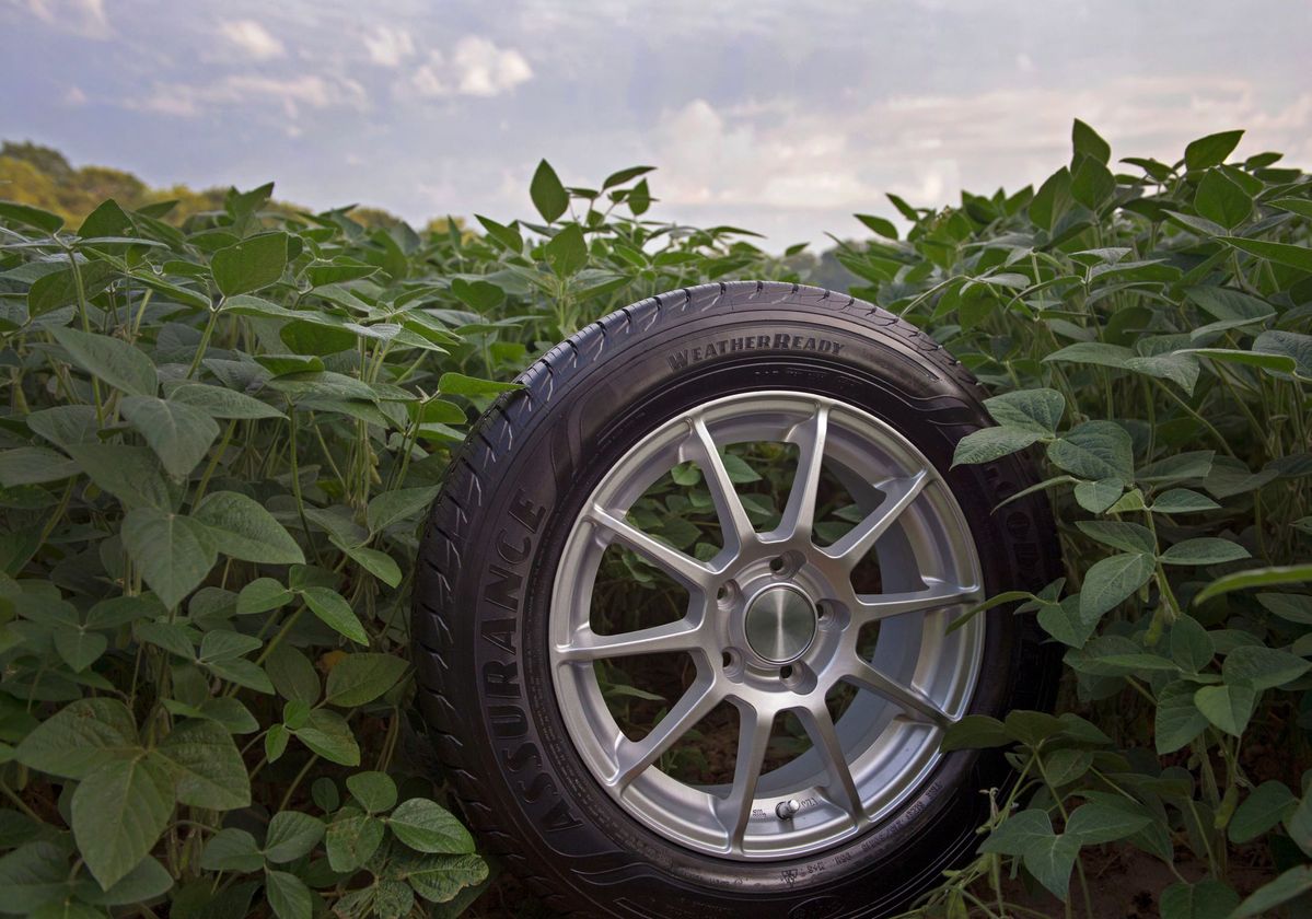 Soy Tire Giveaway 2