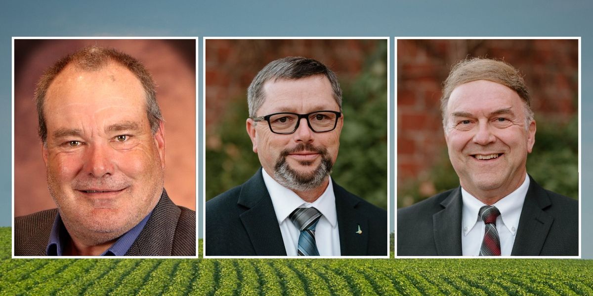 NSB July election results
