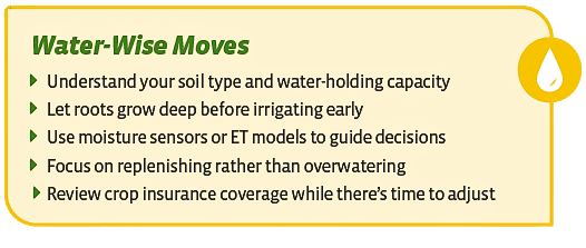 water wise moves